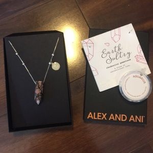 Alex and ani necklace and charm. Never used.
